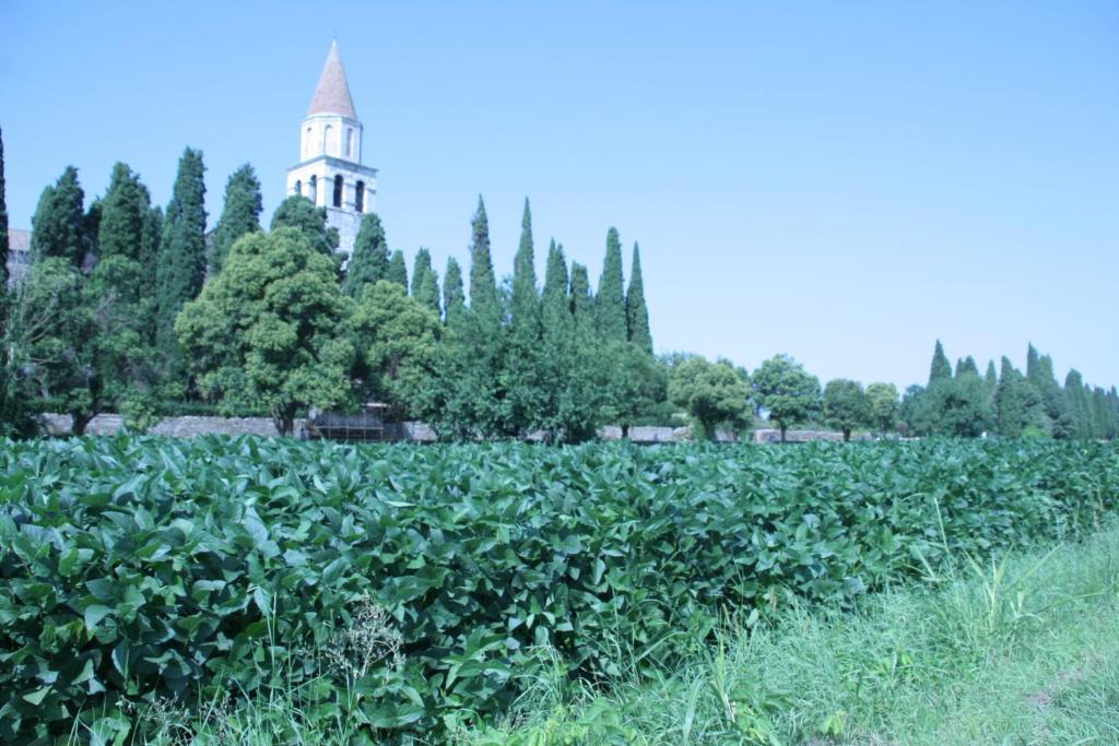 Camping Aquiléia Zewnętrze zdjęcie